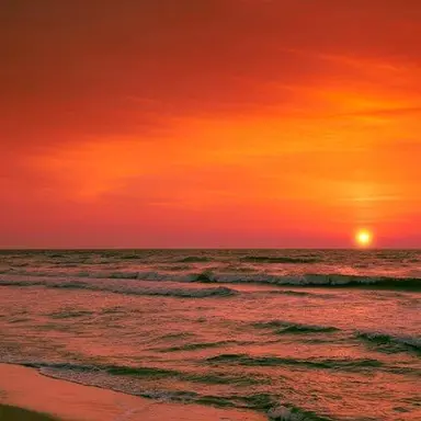 Profile image of 펠릭스