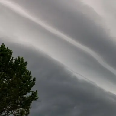 Profile image of 노아