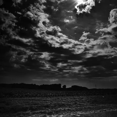 Profile image of 다니엘