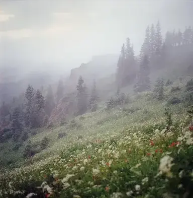 Profile image of Ogre Offering