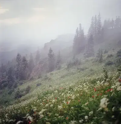 WhiteFort8167의 Ogre Offering