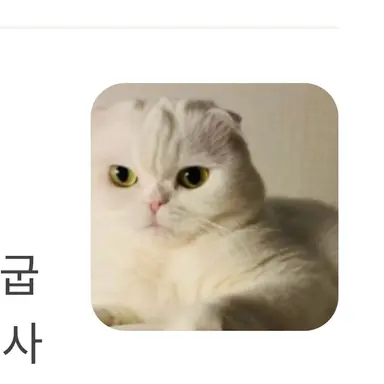 Profile image of 우유