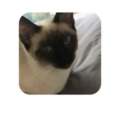 Profile image of 마루