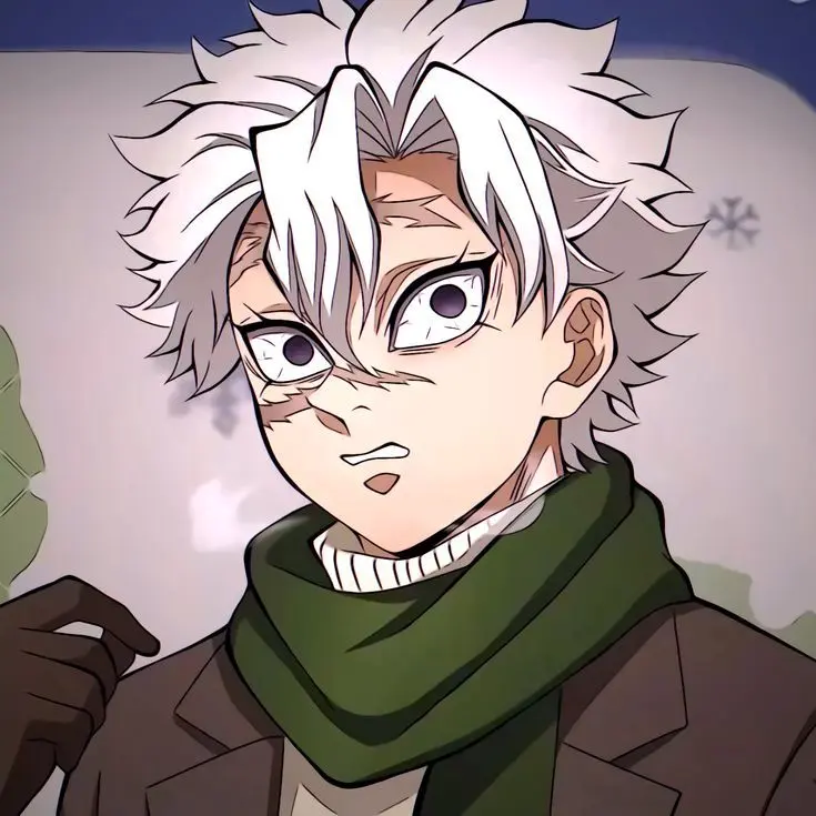 SANEGIYUU의 시나즈가와 사네미