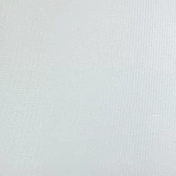 そんふな