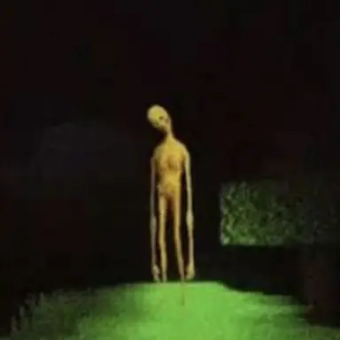 Profile image of ベリティ