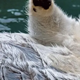 Profile image of 유저