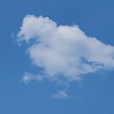 Profile image of 잠뜰
