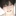 유현재