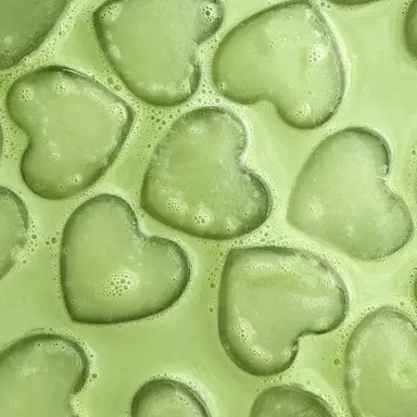 Profile image of 공룡