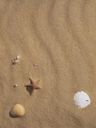 CloseComic8215의 Grasp the Sand