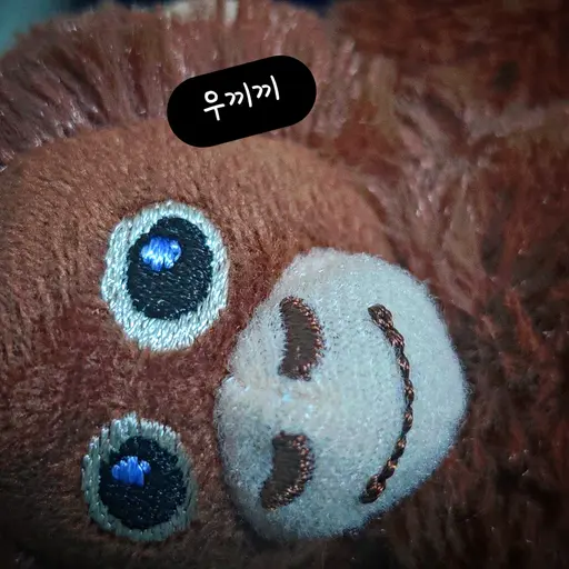 BlandBoiga3889의 연호