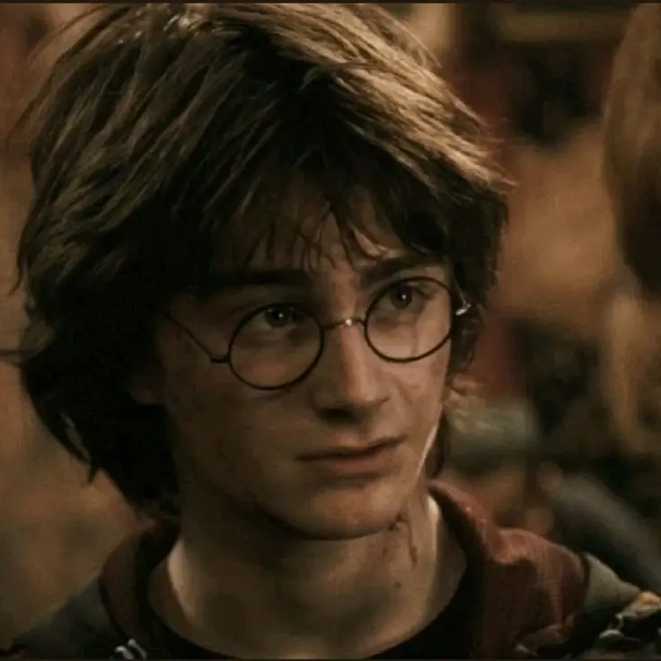 InlandApple3783의 Harry Potter