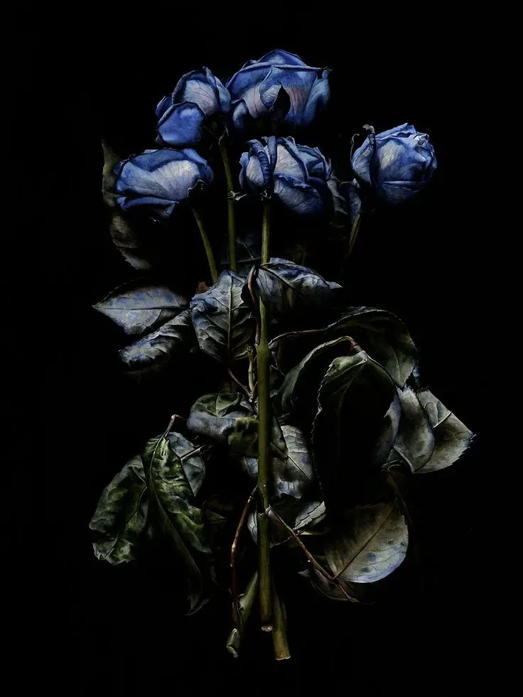 Dark_032의 " 나 안사랑해도 괜찮아. "