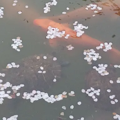 Profile image of 우유참치