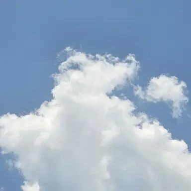 Profile image of 이반