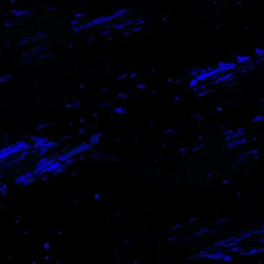 Profile image of ヴィクター