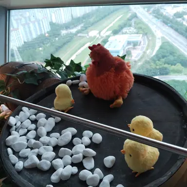 Profile image of 백지헌