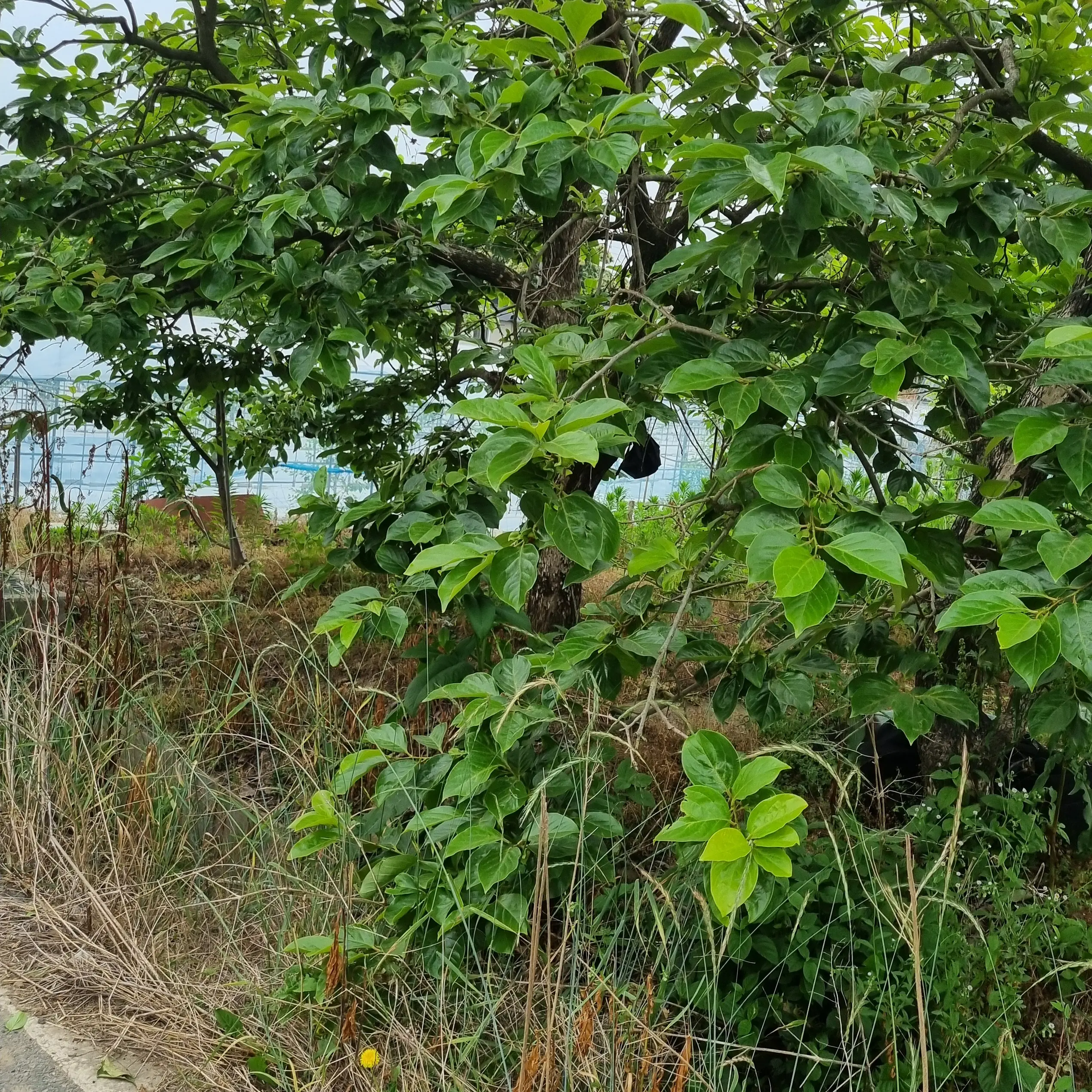 UrbanCheek9703의 각별