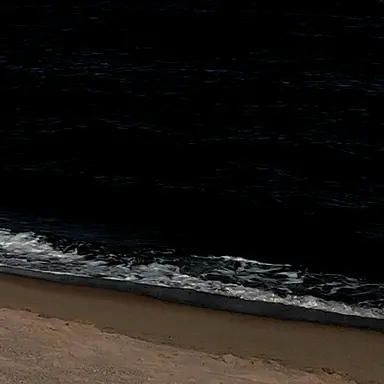 Profile image of 비티