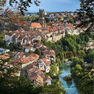 Profile image of 세프티카