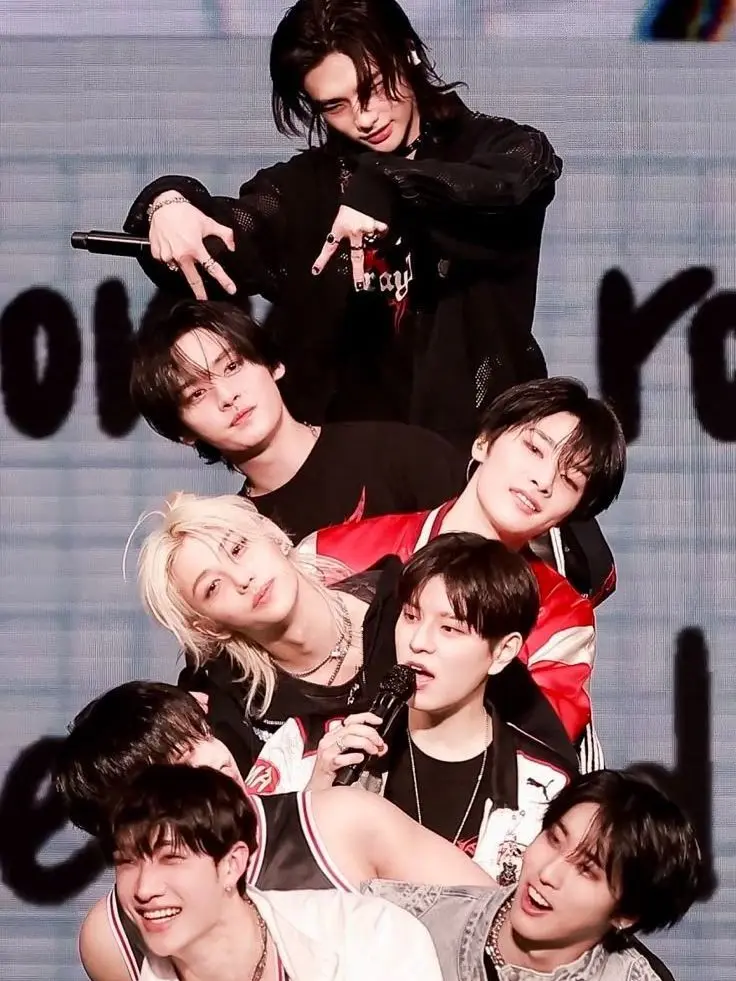 Emeraldcryv의 Stray kids-new member
