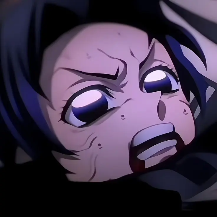 MildTrail5051의 도우마와 시노부의 싸움