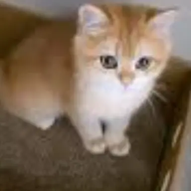 Profile image of 꾸꾸