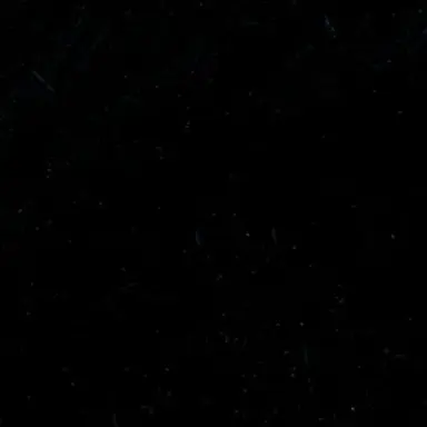 Profile image of 이안 요크랜드