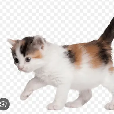 Profile image of 하리