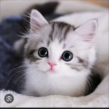 Profile image of 하루