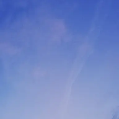 Profile image of 曽野舜太