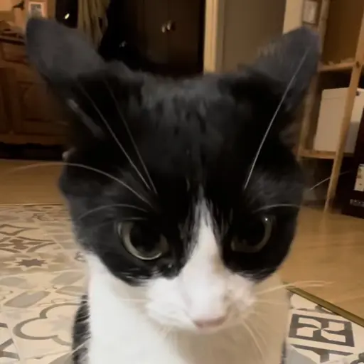 Cherrycat0의 태현이