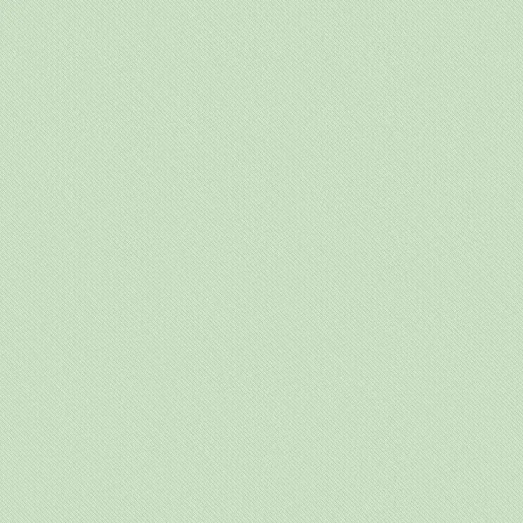 NuttyBook0041의 김철