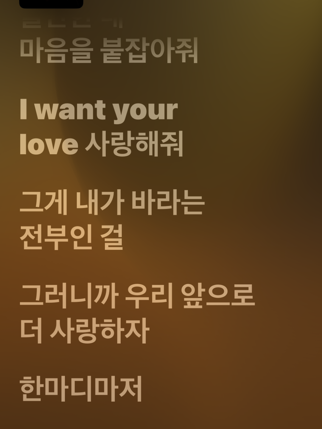 강영현 대표 이미지