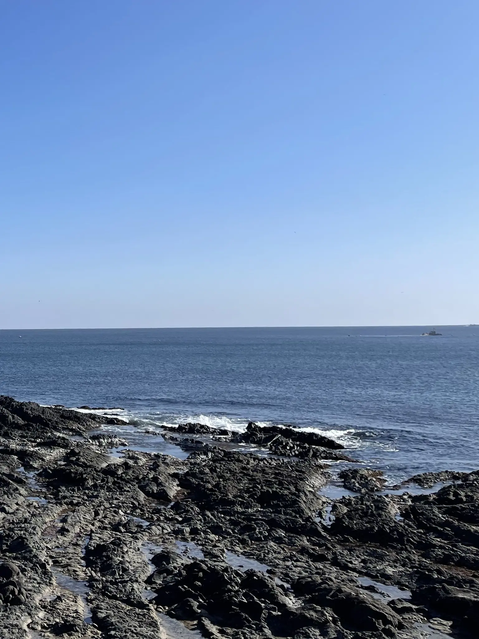 cyzh422의 바다 용왕님