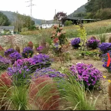 Profile image of 도경수