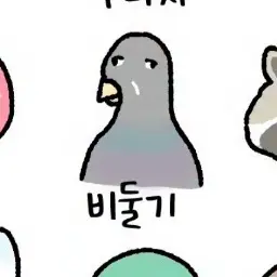 Profile image of 여우