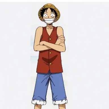 Profile image of ルフィ