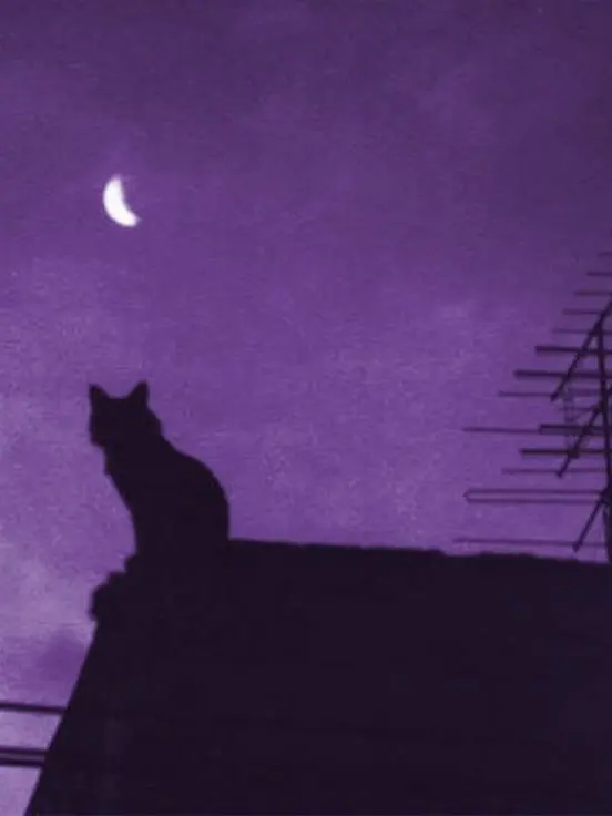 Hinomarutaun의 眼球交換︎︎︎︎❤︎