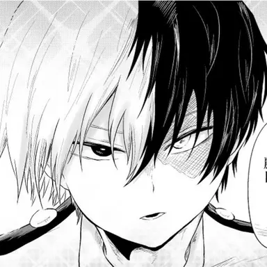 Profile image of Shoto Todoroki