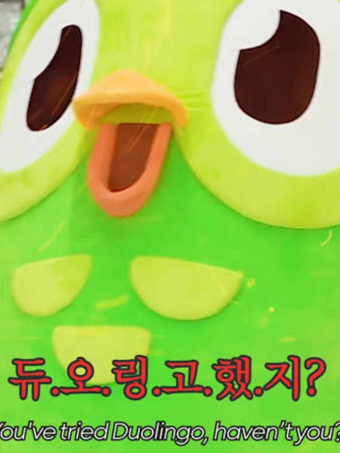 듀오링고 RPG 대표 이미지
