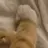 캐서린