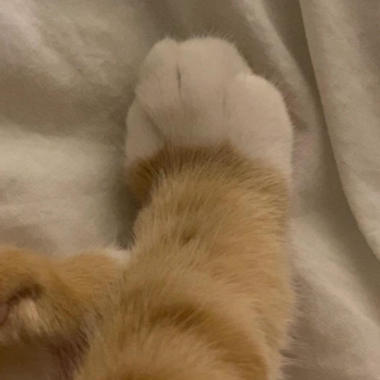 캐서린