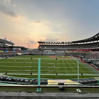 Profile image of 진행자