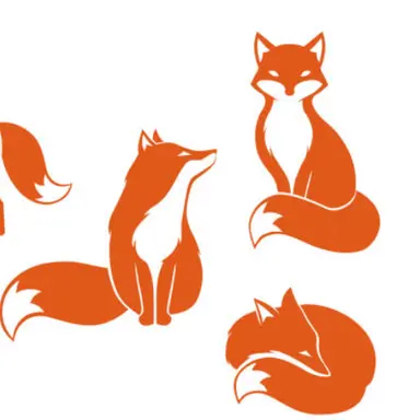 Profile image of 폭스