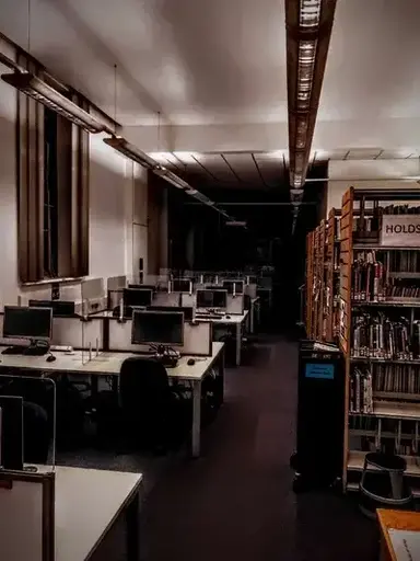 Profile image of DSMP High -Dream SMP