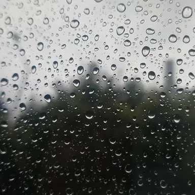 Profile image of 수학여행 애버랜드