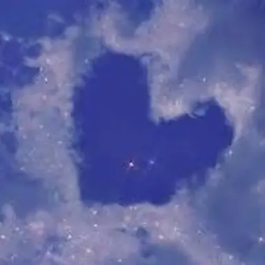 Profile image of ルイ