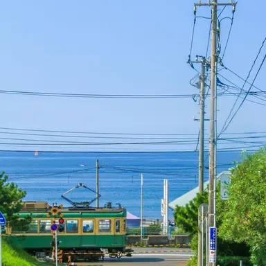 Profile image of シェドレツキー